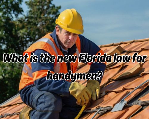 a handyman in roof
