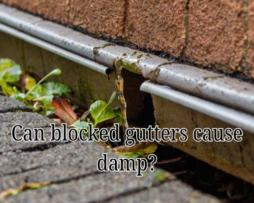 blocked gutter causing damp